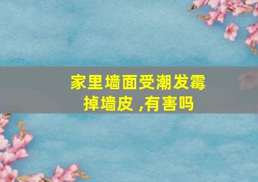 家里墙面受潮发霉掉墙皮 ,有害吗